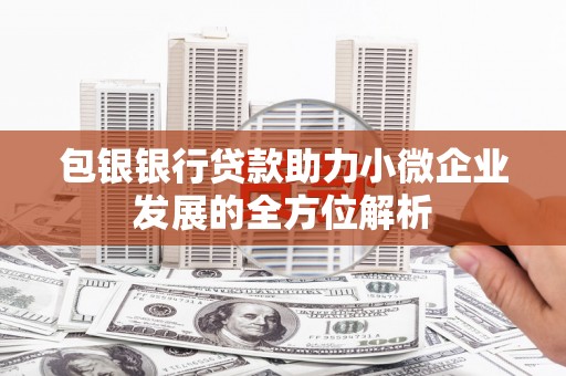 元谋包银银行贷款助力小微企业发展的全方位解析