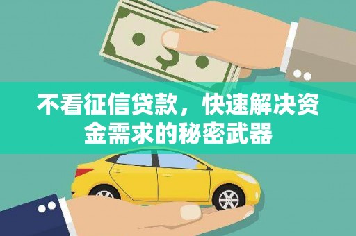元谋不看征信贷款，快速解决资金需求的秘密武器