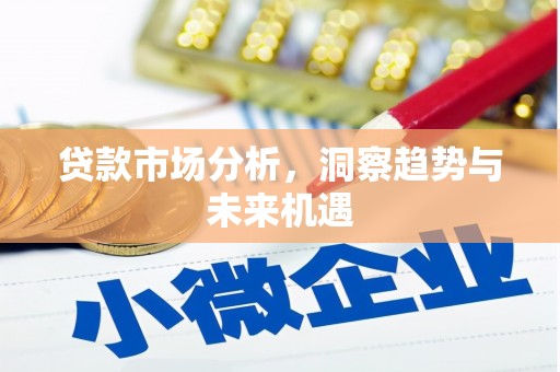 元谋贷款市场分析，洞察趋势与未来机遇