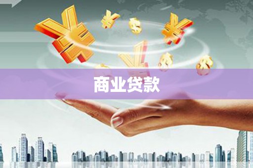 元谋商业贷款