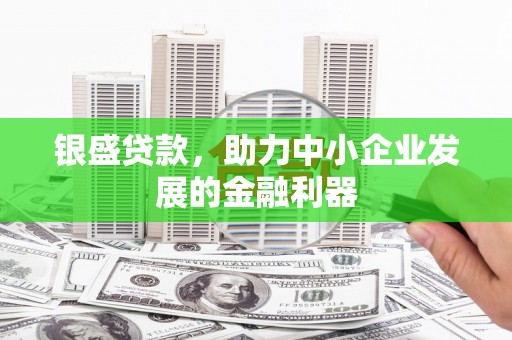 元谋银盛贷款，助力中小企业发展的金融利器