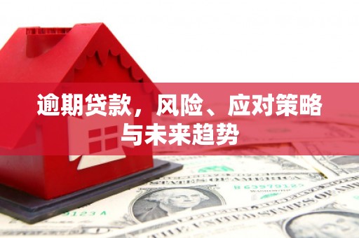 元谋逾期贷款，风险、应对策略与未来趋势
