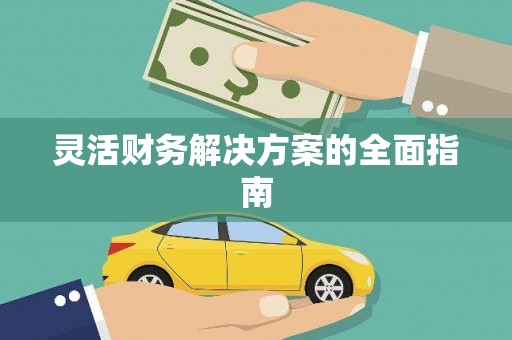 元谋灵活财务解决方案的全面指南