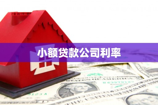 元谋小额贷款公司利率