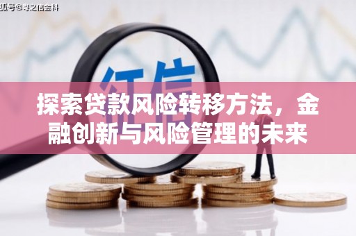 元谋探索贷款风险转移方法，金融创新与风险管理的未来