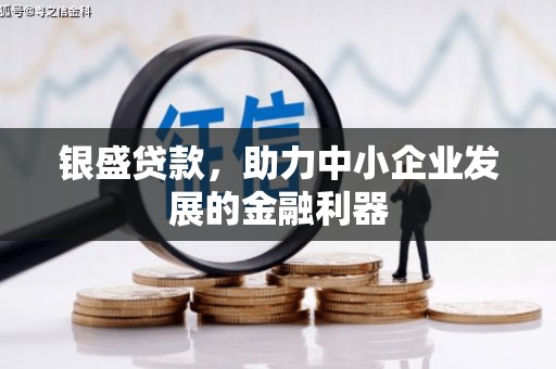 元谋银盛贷款，助力中小企业发展的金融利器