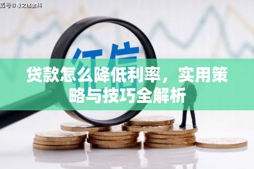 元谋贷款怎么降低利率，实用策略与技巧全解析