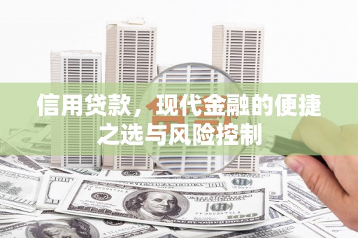 元谋信用贷款，现代金融的便捷之选与风险控制