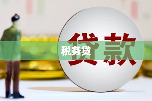 元谋税务贷