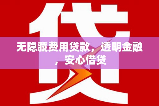 元谋无隐藏费用贷款，透明金融，安心借贷
