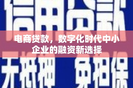 元谋电商贷款，数字化时代中小企业的融资新选择