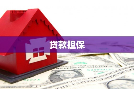 元谋贷款担保