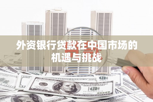 元谋外资银行贷款在中国市场的机遇与挑战