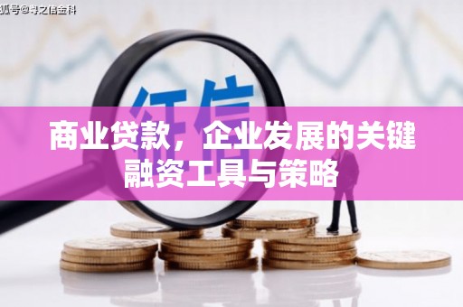 元谋商业贷款，企业发展的关键融资工具与策略
