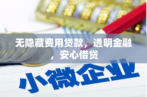元谋无隐藏费用贷款，透明金融，安心借贷