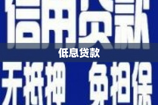 元谋低息贷款