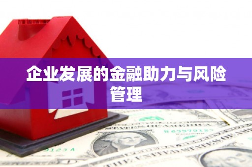 元谋企业发展的金融助力与风险管理