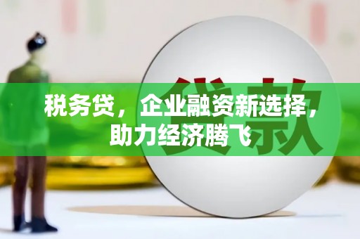 元谋税务贷，企业融资新选择，助力经济腾飞