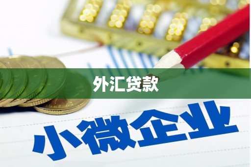 元谋外汇贷款