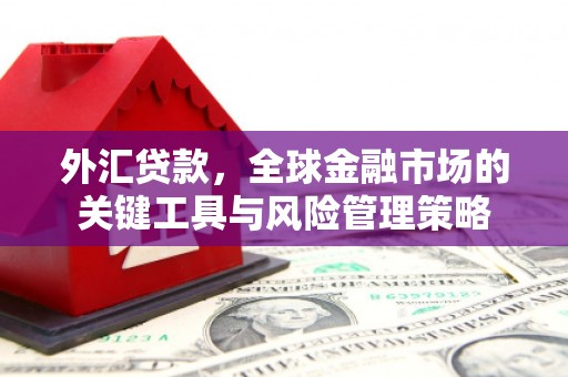 元谋外汇贷款，全球金融市场的关键工具与风险管理策略