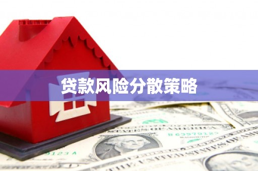 元谋贷款风险分散策略
