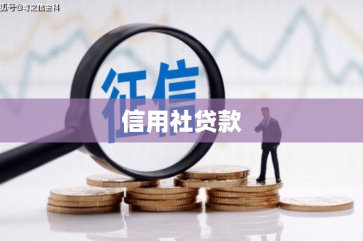 元谋信用社贷款