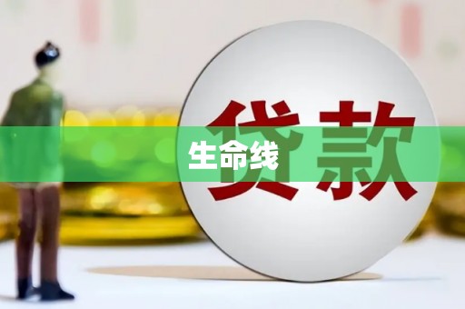元谋生命线