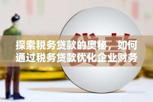 元谋探索税务贷款的奥秘，如何通过税务贷款优化企业财务