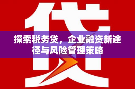 元谋探索税务贷，企业融资新途径与风险管理策略