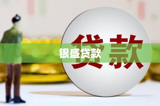 元谋银盛贷款