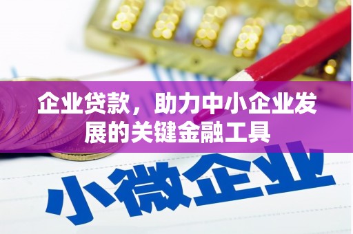元谋企业贷款，助力中小企业发展的关键金融工具