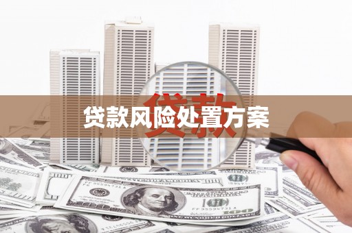 元谋贷款风险处置方案