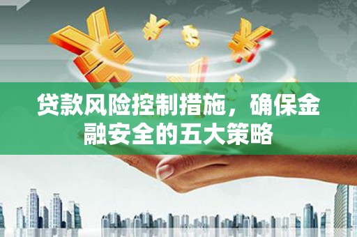 元谋贷款风险控制措施，确保金融安全的五大策略