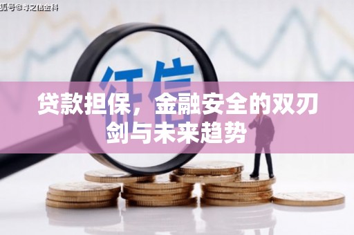 元谋贷款担保，金融安全的双刃剑与未来趋势