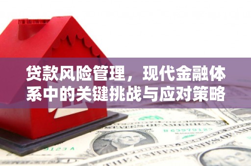 元谋贷款风险管理，现代金融体系中的关键挑战与应对策略