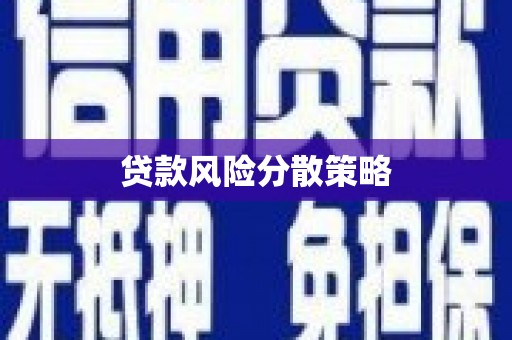 元谋贷款风险分散策略