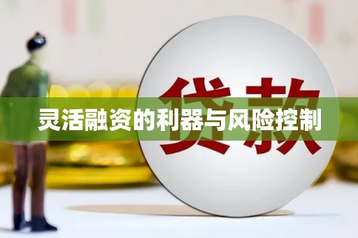 元谋灵活融资的利器与风险控制