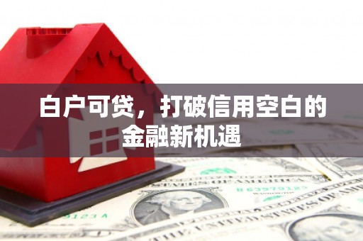 元谋白户可贷，打破信用空白的金融新机遇