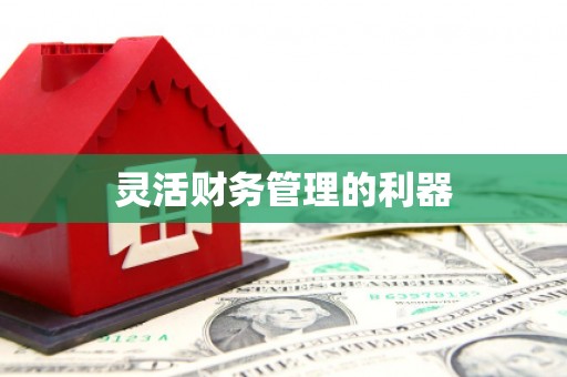 元谋灵活财务管理的利器