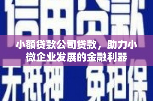 元谋小额贷款公司贷款，助力小微企业发展的金融利器