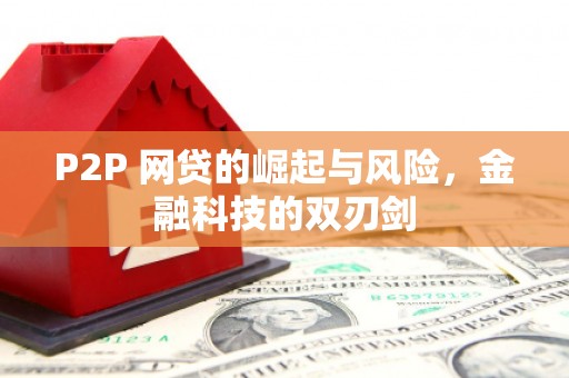 元谋P2P 网贷的崛起与风险，金融科技的双刃剑