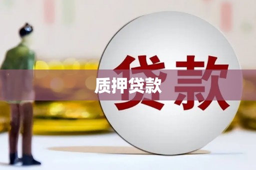 元谋质押贷款
