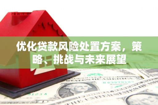 元谋优化贷款风险处置方案，策略、挑战与未来展望