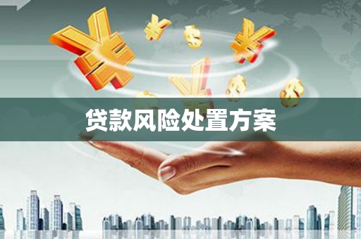 元谋贷款风险处置方案