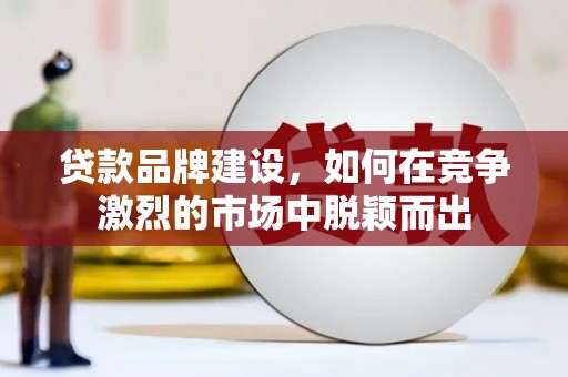 元谋贷款品牌建设，如何在竞争激烈的市场中脱颖而出