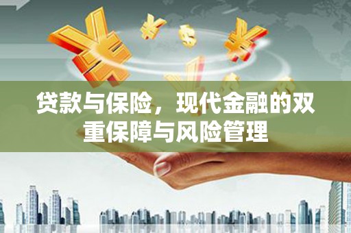 元谋贷款与保险，现代金融的双重保障与风险管理