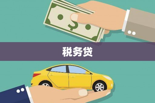 元谋税务贷