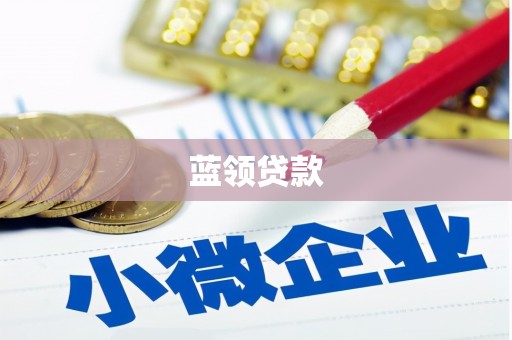 元谋蓝领贷款