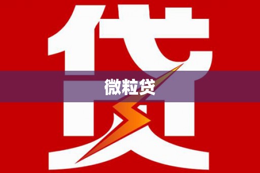 元谋微粒贷