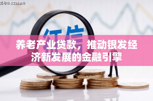 元谋养老产业贷款，推动银发经济新发展的金融引擎
